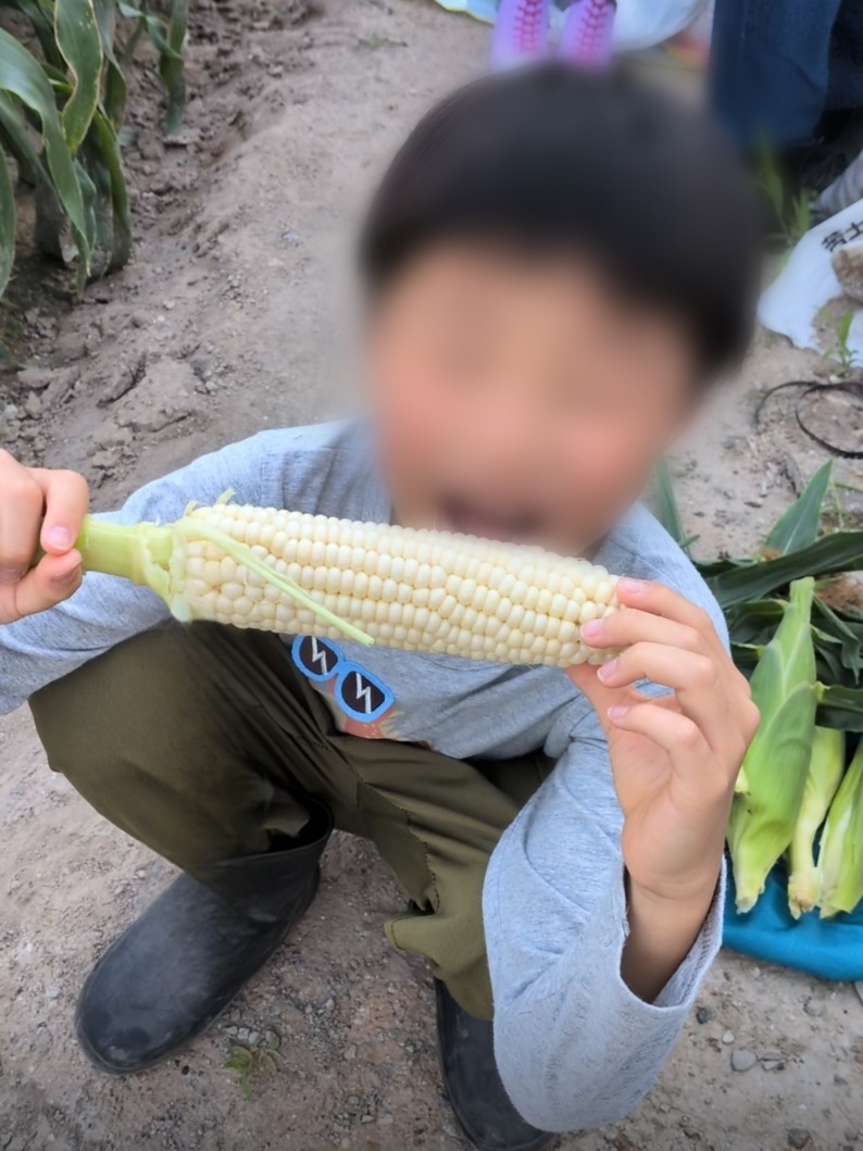 ホワイトコーンの先端から食べる男の子