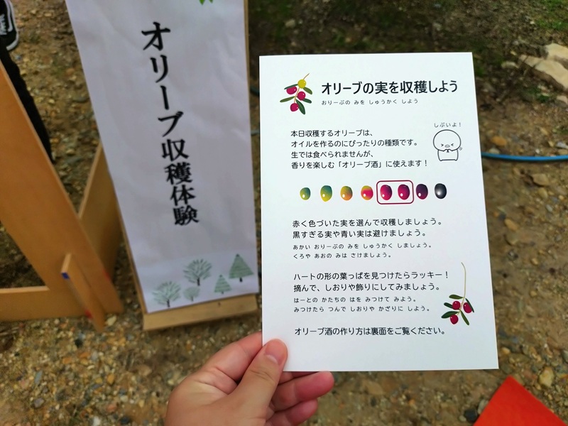 王寺町　オリーブ　特産品