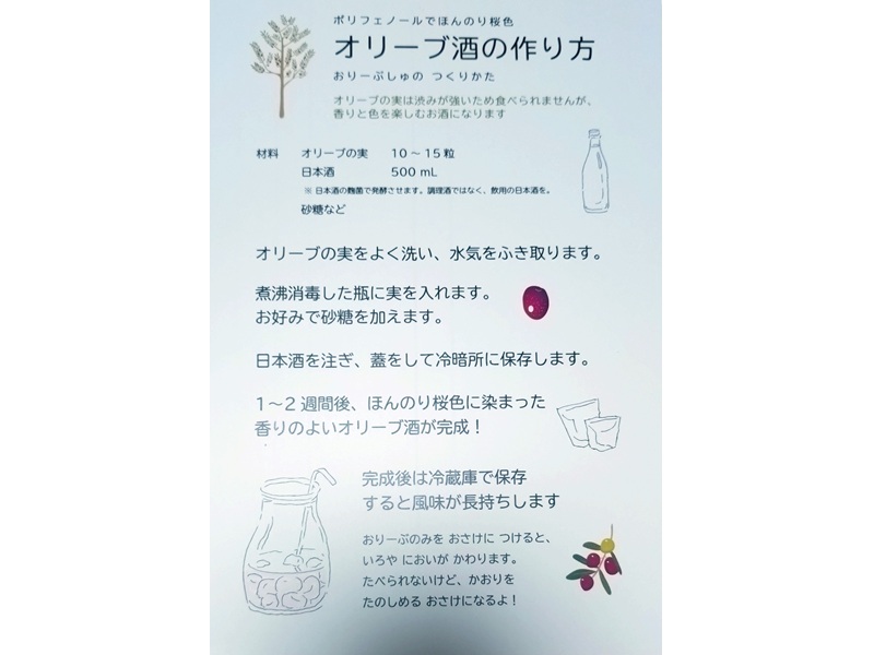 王寺町　オリーブ　特産品