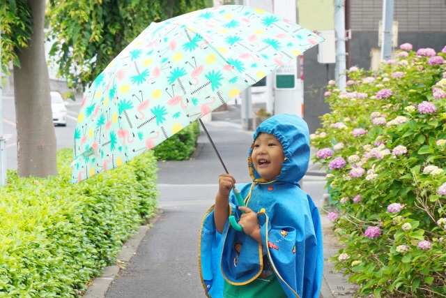 子どもの傘選び正しくできてる 安い 可愛いだけで選んだらあかん 意外と重要なアレとは一体 ママのためのお出かけナビin南大阪 Mamaoasis ママオアシス