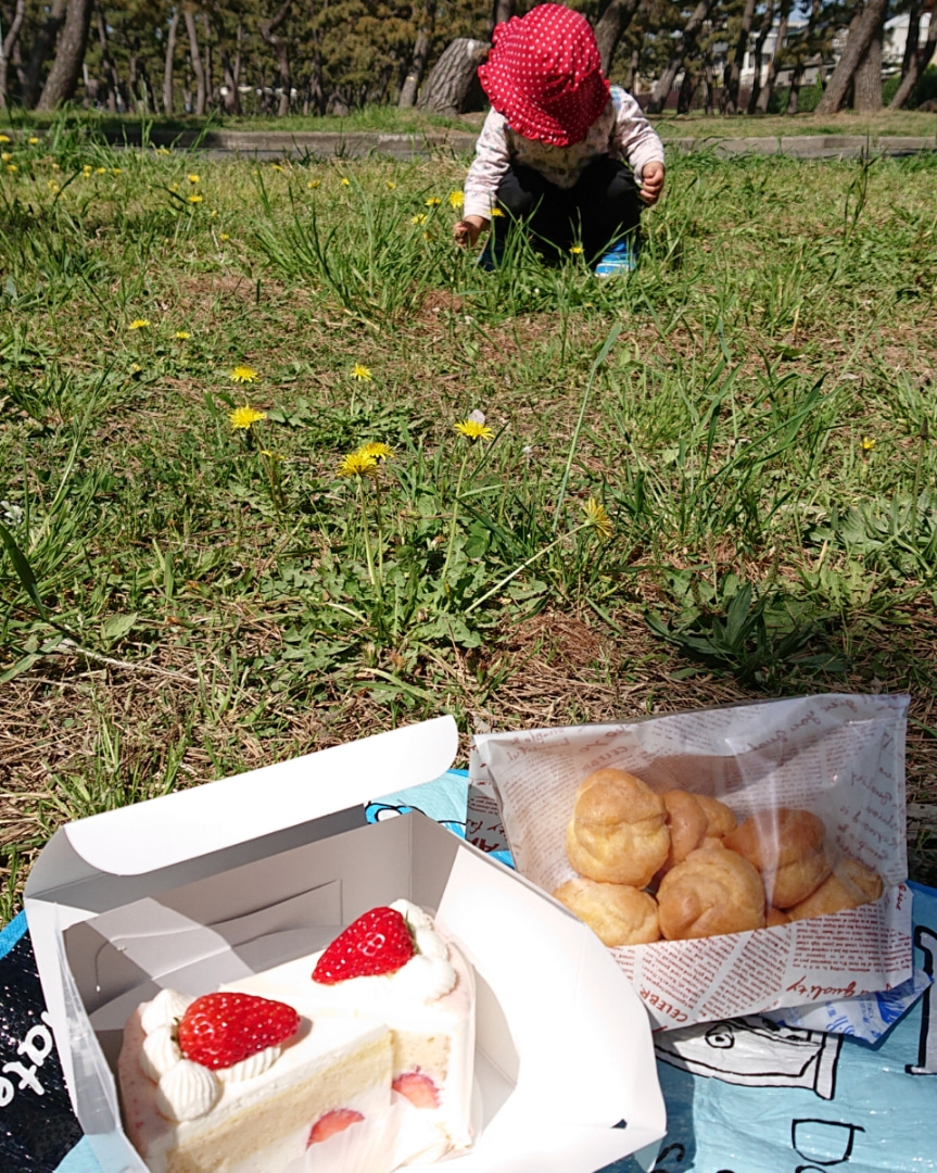 浜寺公園へ行くなら パティスリー カオリ に寄ってケーキピクニックしよう ママのためのお出かけナビin南大阪 Mamaoasis ママオアシス